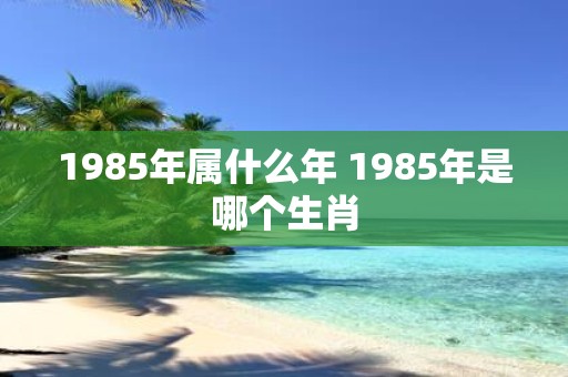 1985年属什么年 1985年是哪个生肖