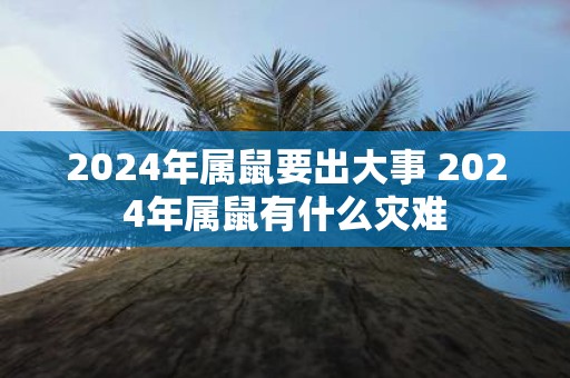 2025年属鼠要出大事 2025年属鼠有什么灾难
