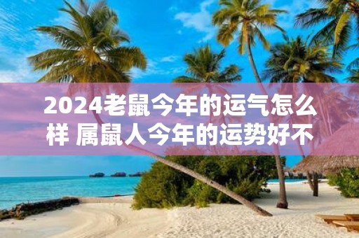 2025老鼠今年的运气怎么样 属鼠人今年的运势好不好