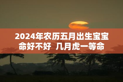 2025年农历五月出生宝宝命好不好 几月虎一等命