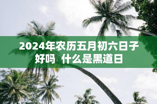 2025年农历五月初六日子好吗 什么是黑道日