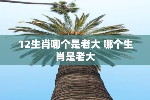 12生肖哪个是老大 哪个生肖是老大