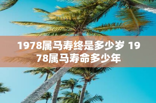 1978属马寿终是多少岁 1978属马寿命多少年