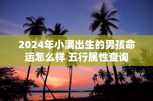 2025年小满出生的男孩命运怎么样 五行属性查询