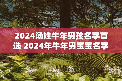 2025汤姓牛年男孩名字首选 2025年牛年男宝宝名字怎么选