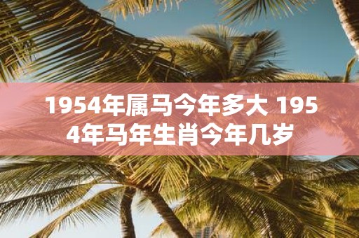 1954年属马今年多大 1954年马年生肖今年几岁