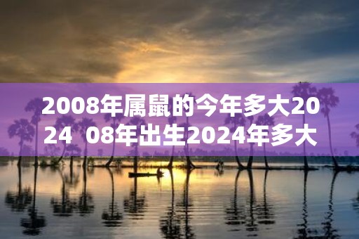 2008年属鼠的今年多大2025 08年出生2025年多大年龄
