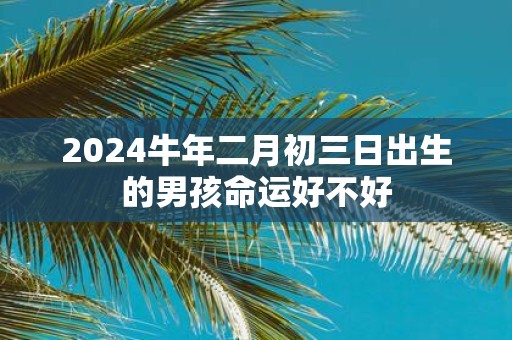 2025牛年二月初三日出生的男孩命运好不好