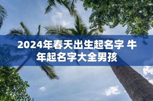 2025年春天出生起名字 牛年起名字大全男孩