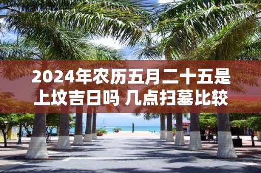 2025年农历五月二十五是上坟吉日吗 几点扫墓比较好