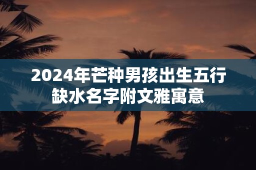 2025年芒种男孩出生五行缺水名字附文雅寓意