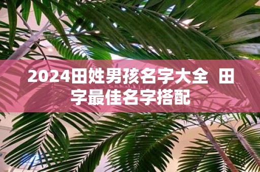 2025田姓男孩名字大全 田字最佳名字搭配