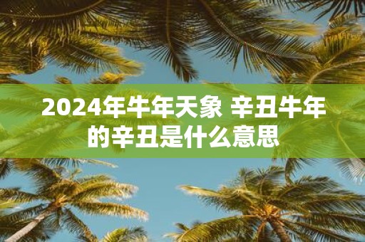 2025年牛年天象 辛丑牛年的辛丑是什么意思
