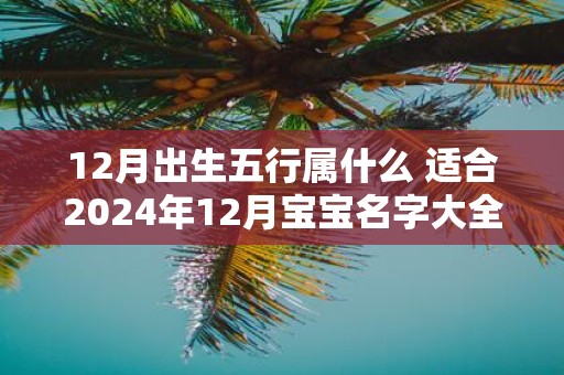 12月出生五行属什么 适合2025年12月宝宝名字大全
