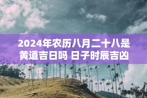 2025年农历八月二十八是黄道吉日吗 日子时辰吉凶