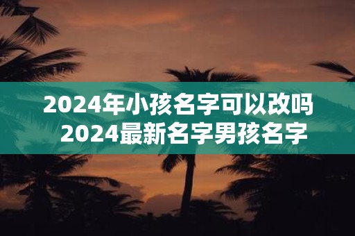 2025年小孩名字可以改吗 2025最新名字男孩名字