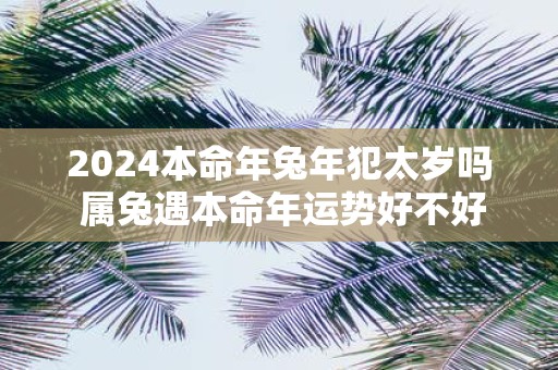 2025本命年蛇年犯太岁吗 属兔遇本命年运势好不好