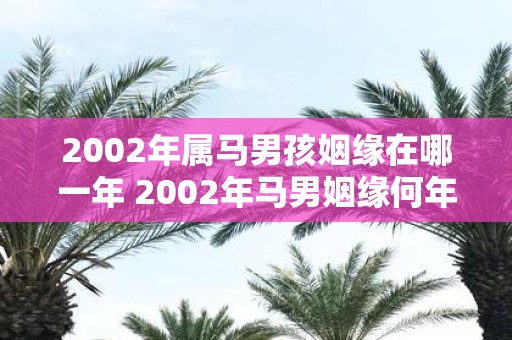 2002年属马男孩姻缘在哪一年 2002年马男姻缘何年