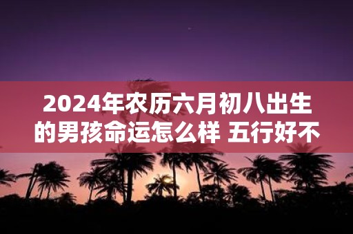 2025年农历六月初八出生的男孩命运怎么样 五行好不好