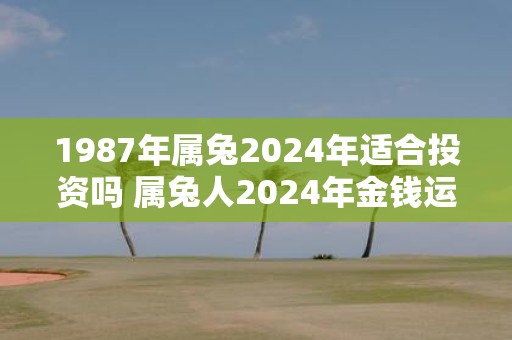 1987年属兔2025年适合投资吗 属兔人2025年金钱运势如何