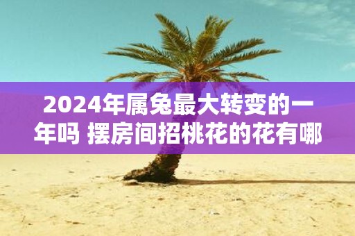 2025年属兔最大转变的一年吗 摆房间招桃花的花有哪些