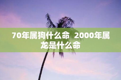 70年属狗什么命 2000年属龙是什么命