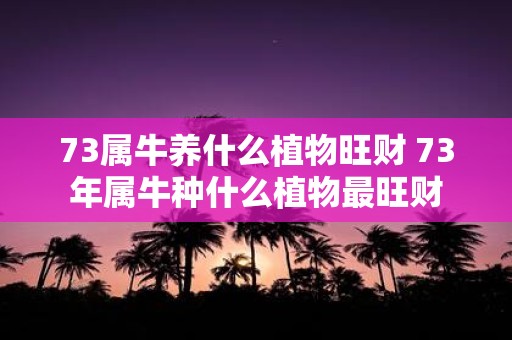 73属牛养什么植物旺财 73年属牛种什么植物最旺财