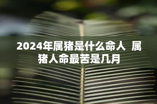 2025年属猪是什么命人 属猪人命最苦是几月