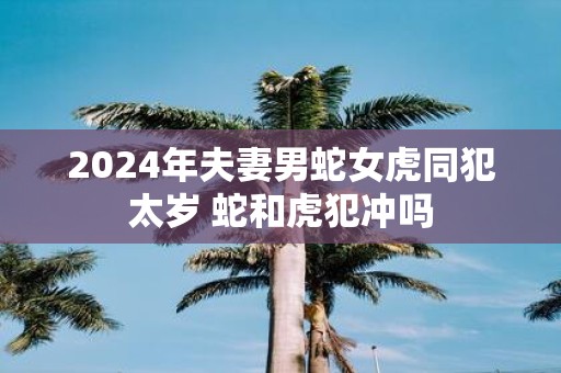 2025年夫妻男蛇女虎同犯太岁 蛇和虎犯冲吗