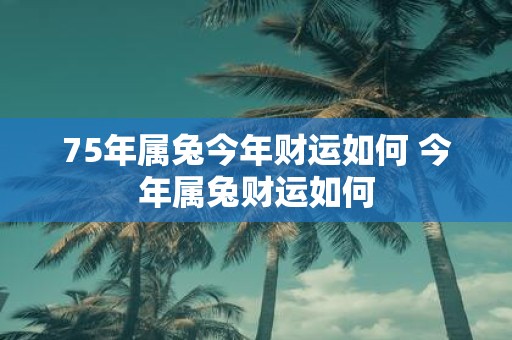 75年属兔今年财运如何 今年属兔财运如何
