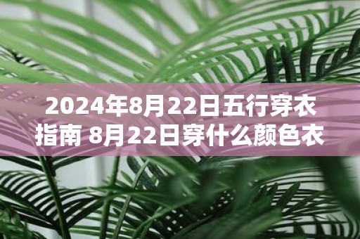 2025年8月22日五行穿衣指南 8月22日穿什么颜色衣服最旺运