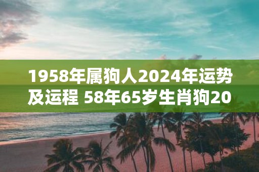 1958年属狗人2025年运势及运程 58年65岁生肖狗2025年每月运势
