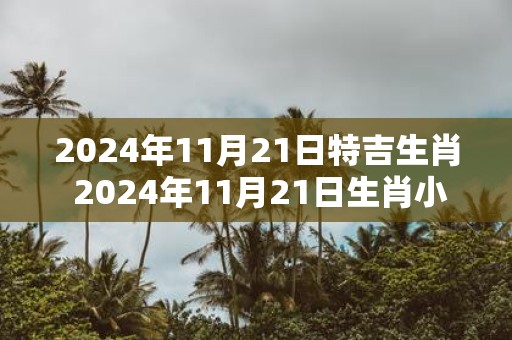 2025年11月21日特吉生肖 2025年11月21日生肖小运播报