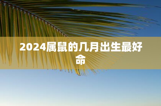 2025属鼠的几月出生最好命