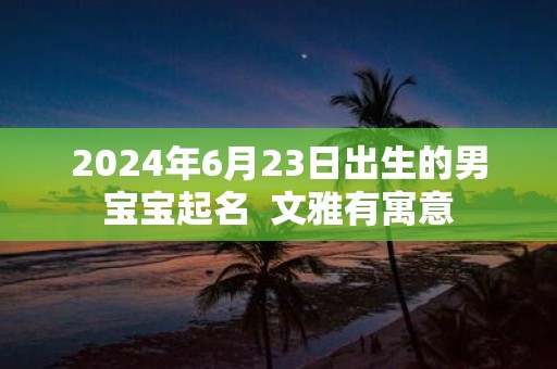 2025年6月23日出生的男宝宝起名 文雅有寓意