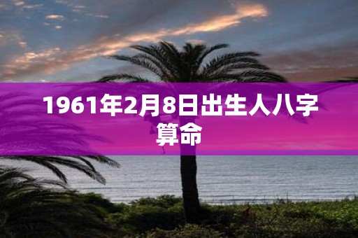 1961年2月8日出生人八字算命
