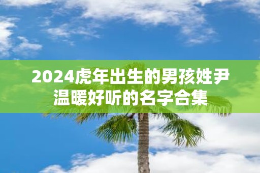 2025虎年出生的男孩姓尹温暖好听的名字合集