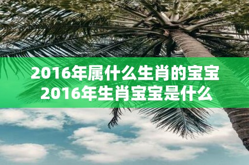 2016年属什么生肖的宝宝 2016年生肖宝宝是什么