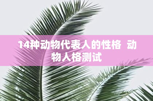 14种动物代表人的性格 动物人格测试