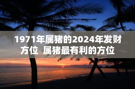 1971年属猪的2025年发财方位 属猪最有利的方位