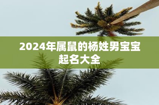 2025年属鼠的杨姓男宝宝起名大全