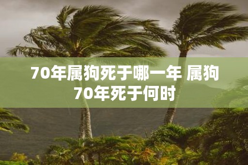 70年属狗死于哪一年 属狗70年死于何时