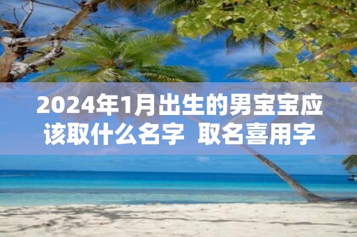 2025年1月出生的男宝宝应该取什么名字 取名喜用字