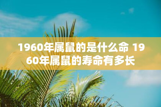 1960年属鼠的是什么命 1960年属鼠的寿命有多长