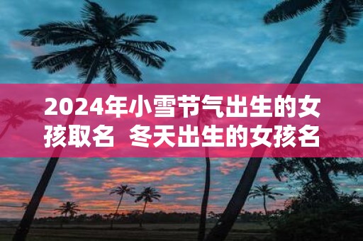 2025年小雪节气出生的女孩取名 冬天出生的女孩名字好听