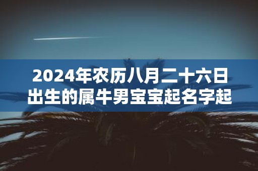 2025年农历八月二十六日出生的属牛男宝宝起名字起什么比较好