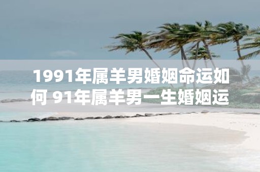 1991年属羊男婚姻命运如何 91年属羊男一生婚姻运
