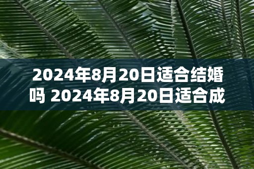 2025年8月20日适合结婚吗 2025年8月20日适合成婚吗
