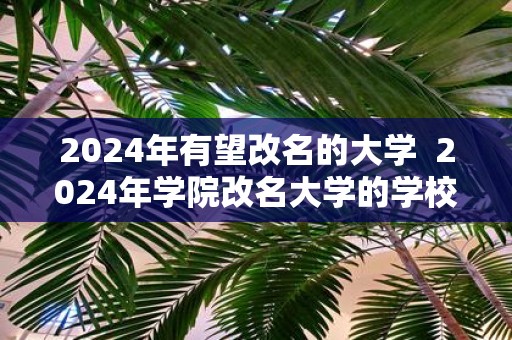 2025年有望改名的大学 2025年学院改名大学的学校