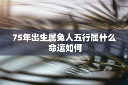 75年出生属兔人五行属什么 命运如何
